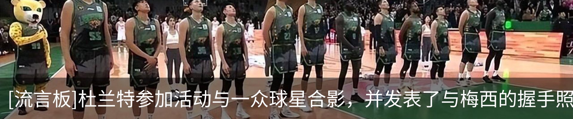 新闻动态